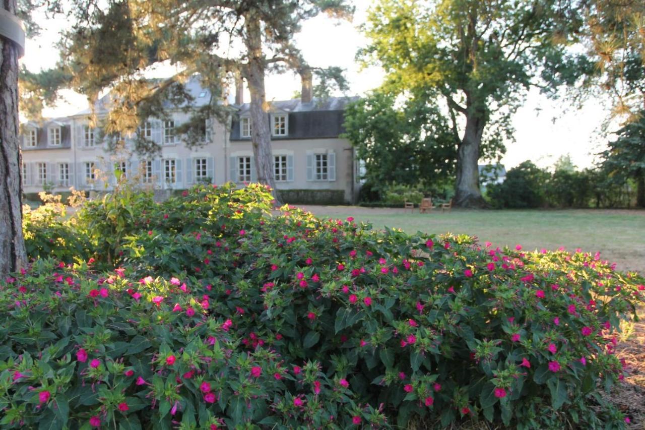 Bed and Breakfast Colivault à Candé-sur-Beuvron Extérieur photo